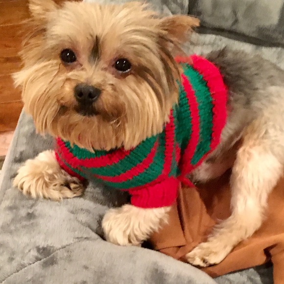 Hand knitted accessories - Picture 10 of 13